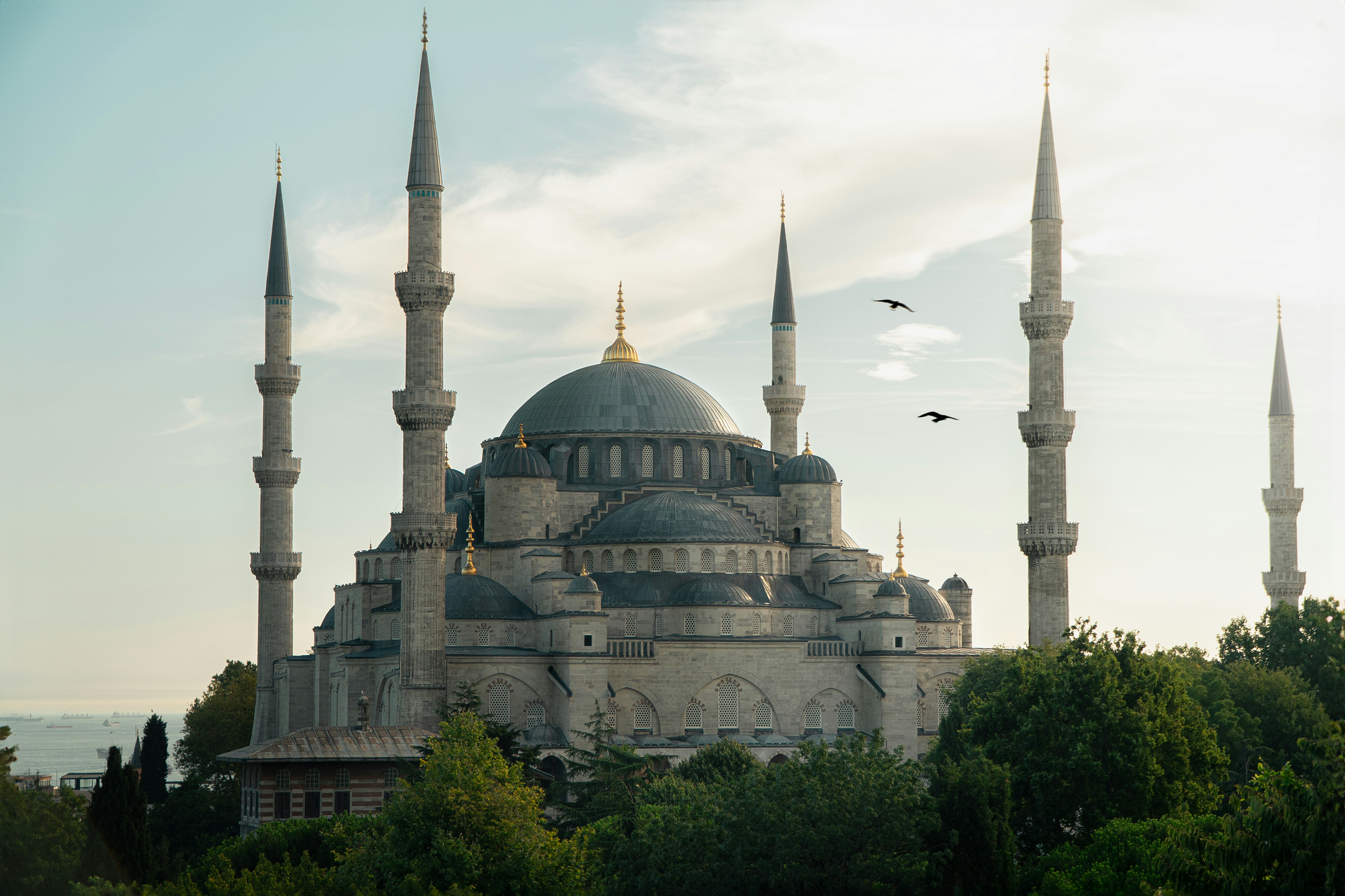 Turkey