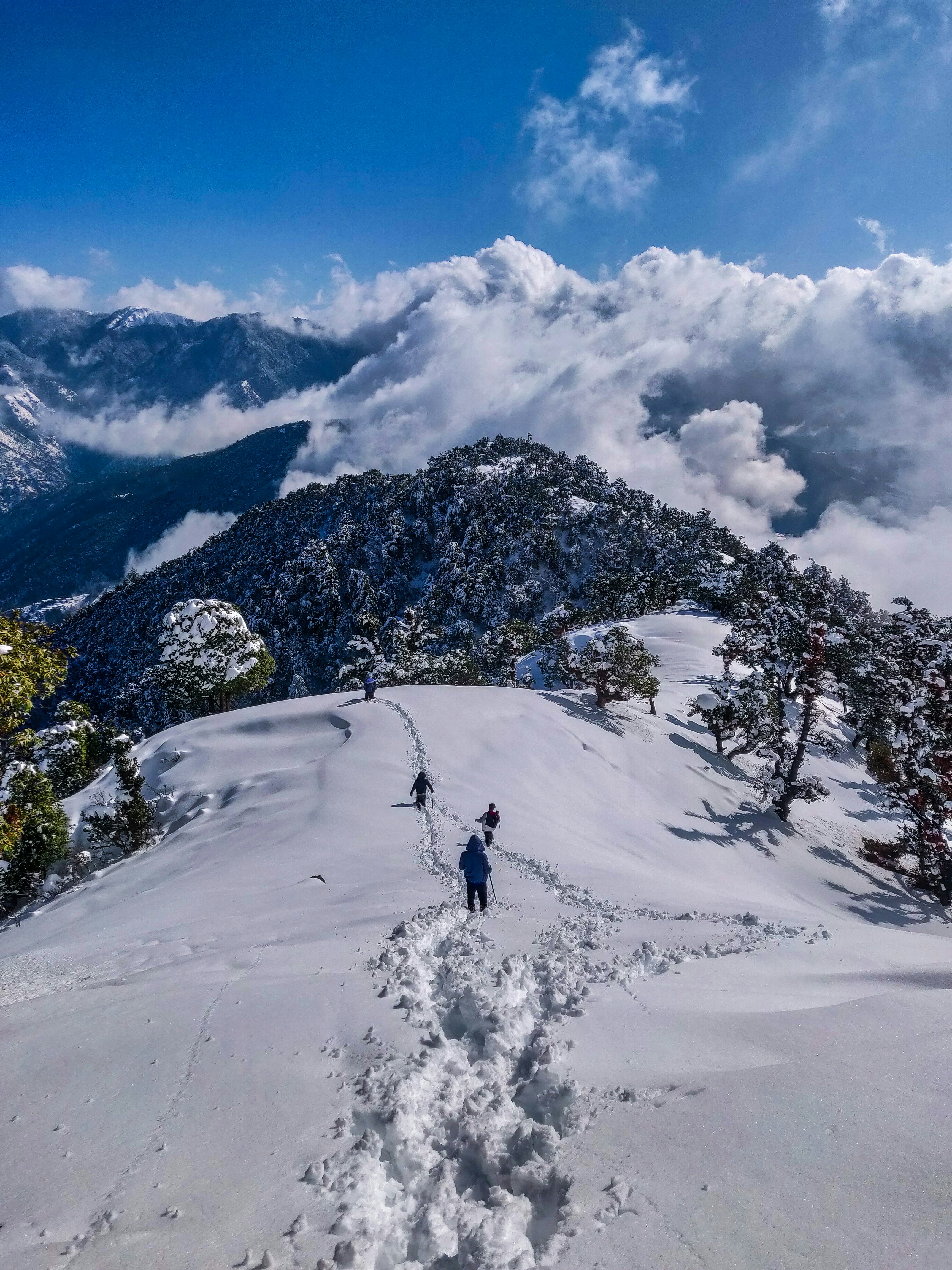 Manali Sissu Kasol Jibhi